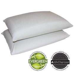 Sleep Master 2-Pack Traditional Memory Foam Pillows, Standard