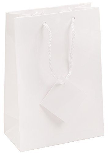 10 pcs Small Fancy White Glossy Finish Shopping Paper Gift Sales Tote Bags with Blank Message Tag 4″ x 2.75″ x 4.5″